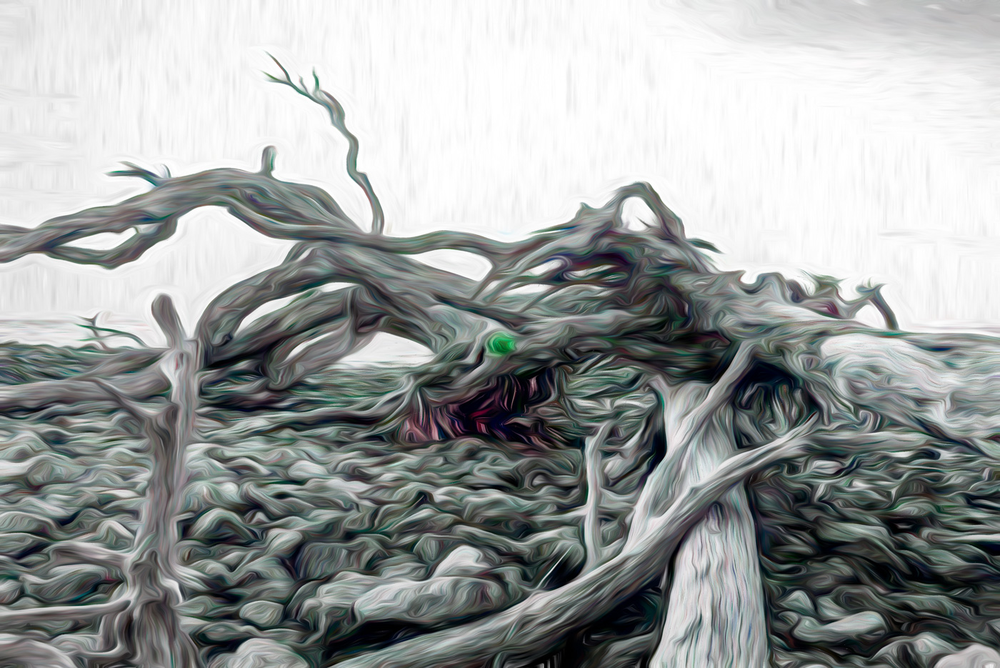 Driftwood Monster of Jekyll Island by Bob Legg