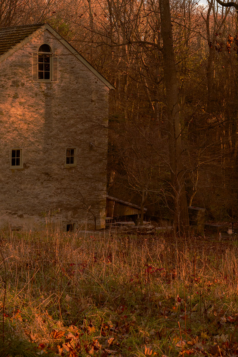 House at Saunders Woods Preserve by Bill Foy