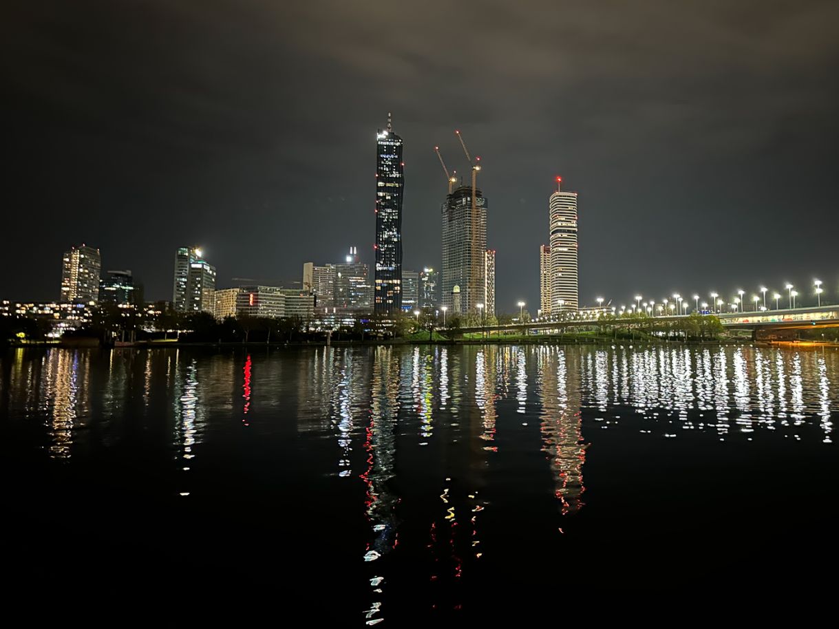 Vienna at Night by Elaine Miller