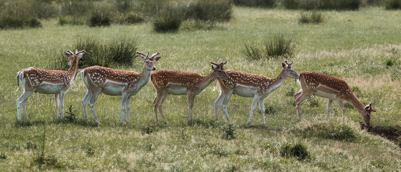 Orderly Queue by Tim Sanders