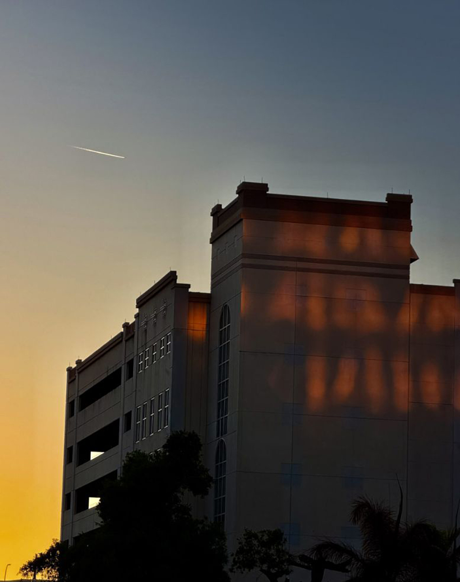 Orlando by Linda Basilick