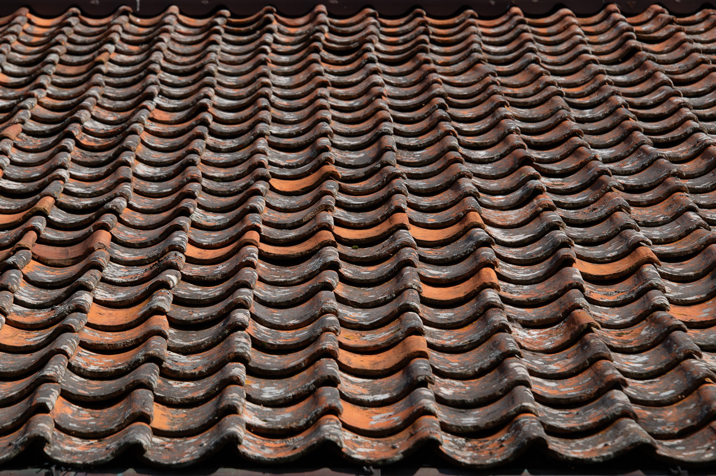 November 2025 - Bob Legg