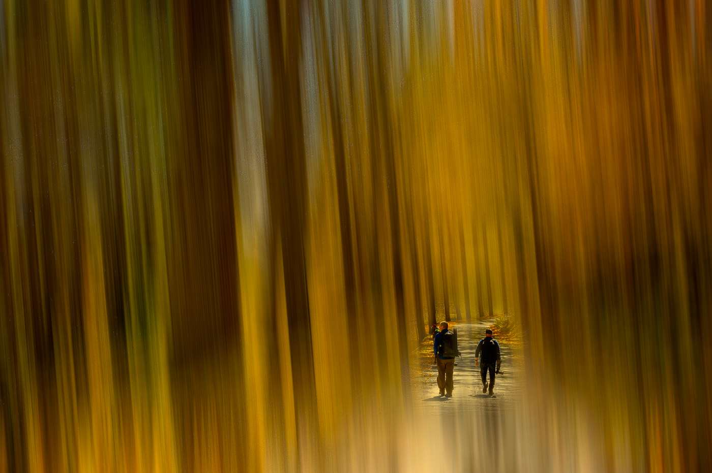 Farm Road by Bob Legg