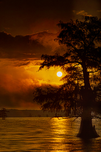 Caddo Lake Evening by Phu Vo