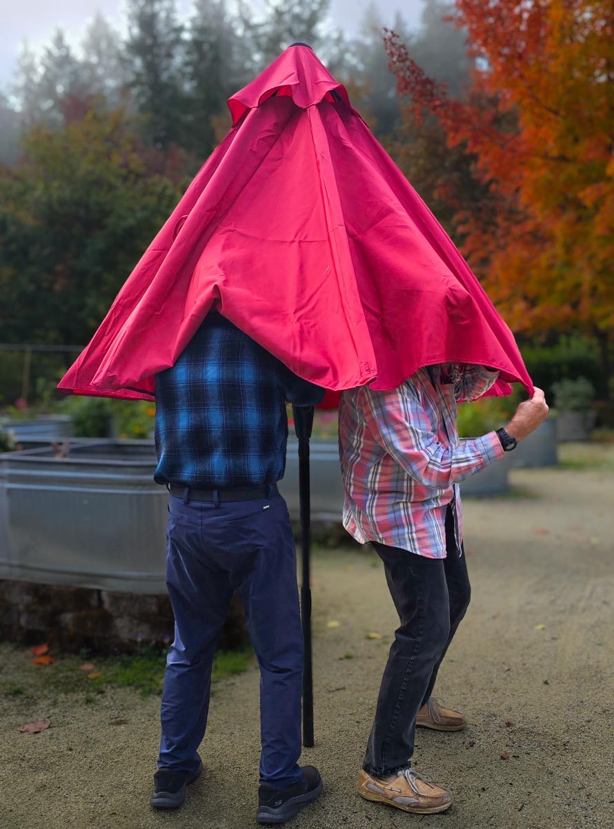 Two men one Umbrella by Dorinda Wills