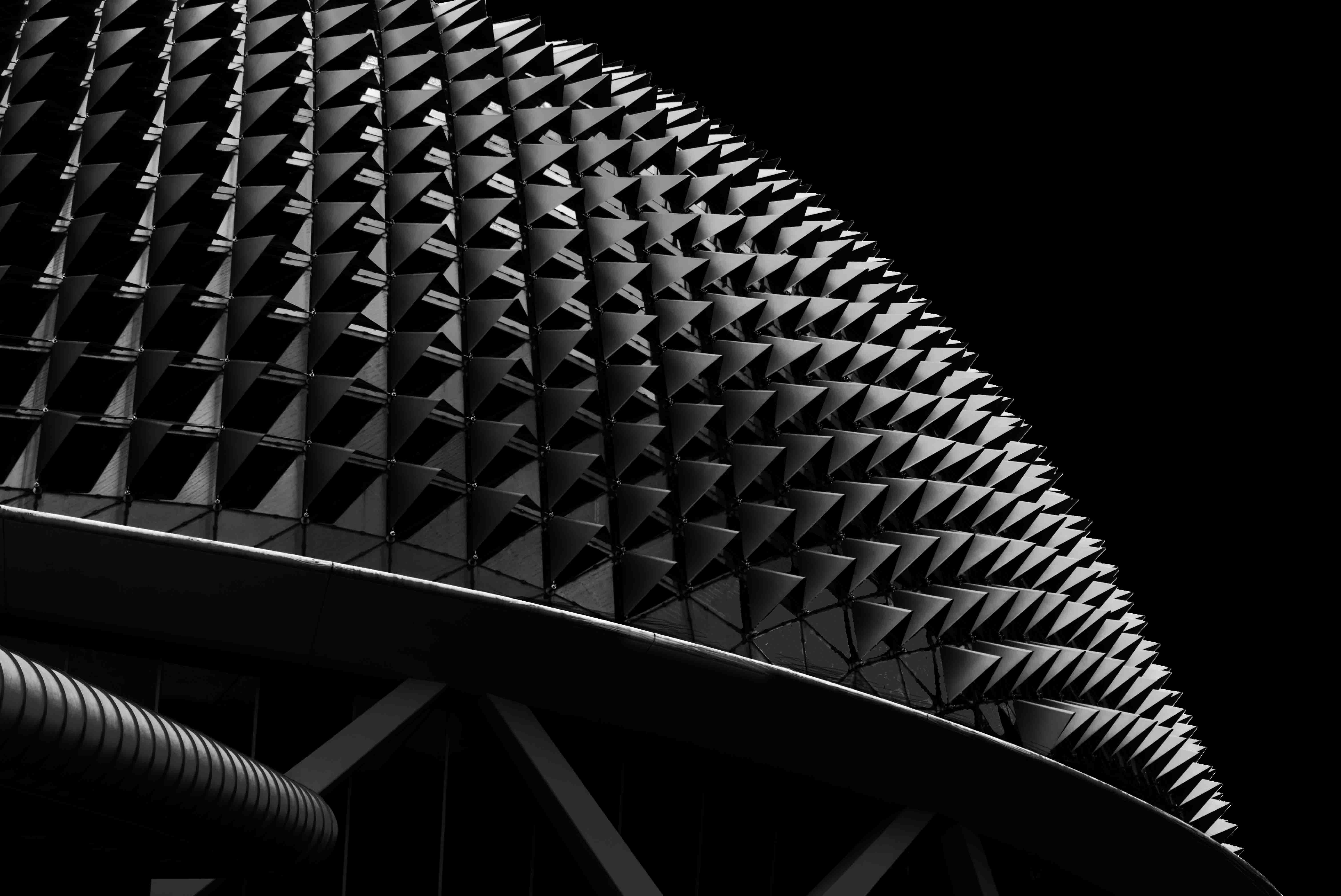  Durian by Walter Ho