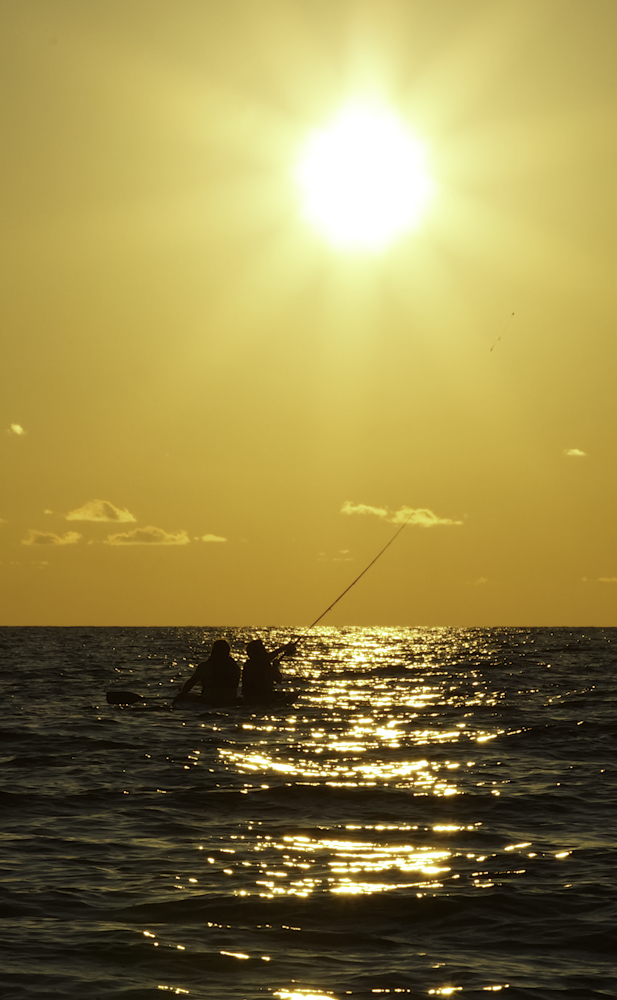 Fishing by Jody Coker