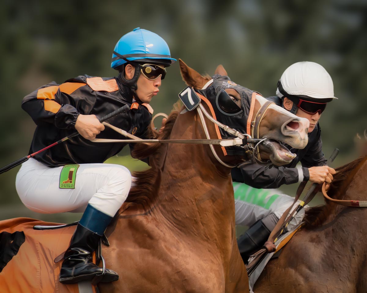 Holding Back by Dorinda Wills