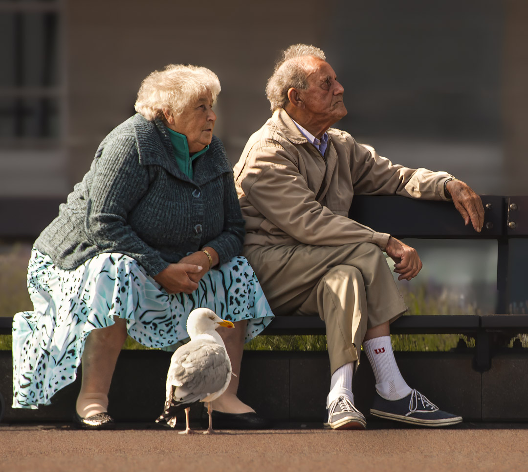 The Three of Us by Dorinda Wills