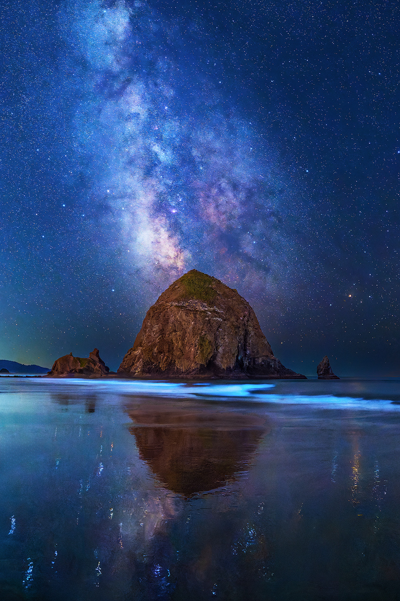 Convergence by Patrick Campbell