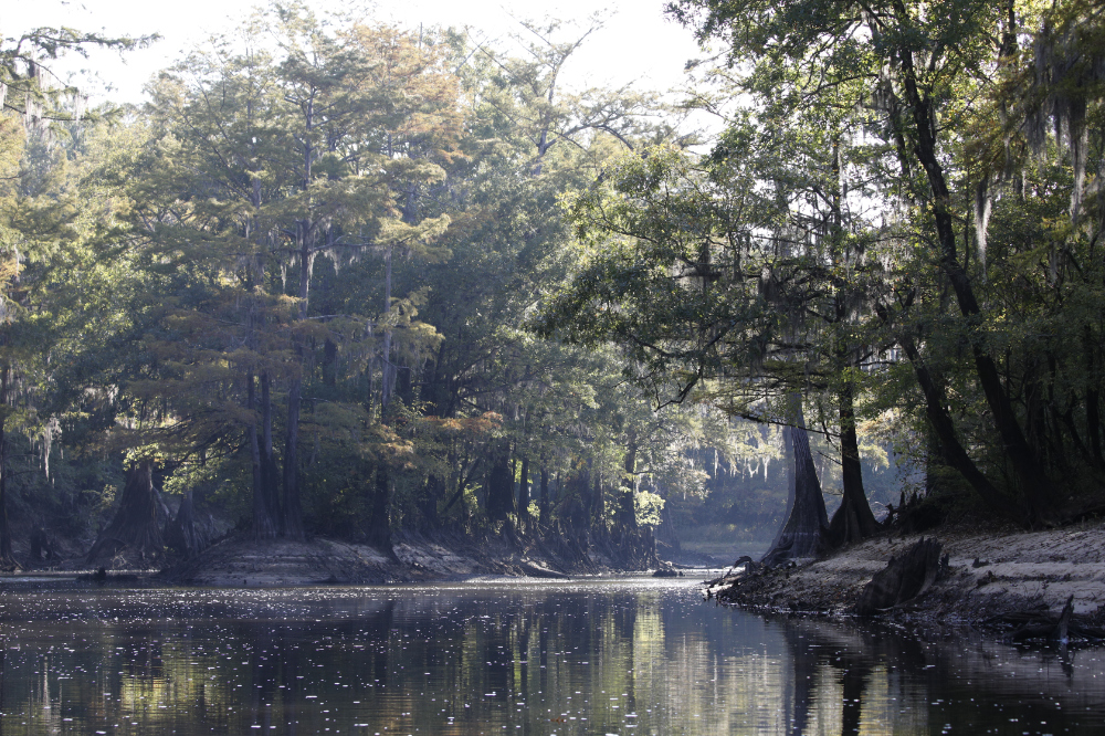 November 2025 - Jody Coker