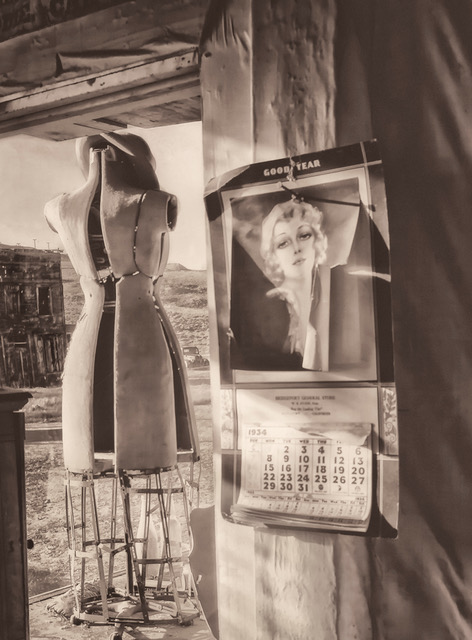 Back Then by Susan Quinn