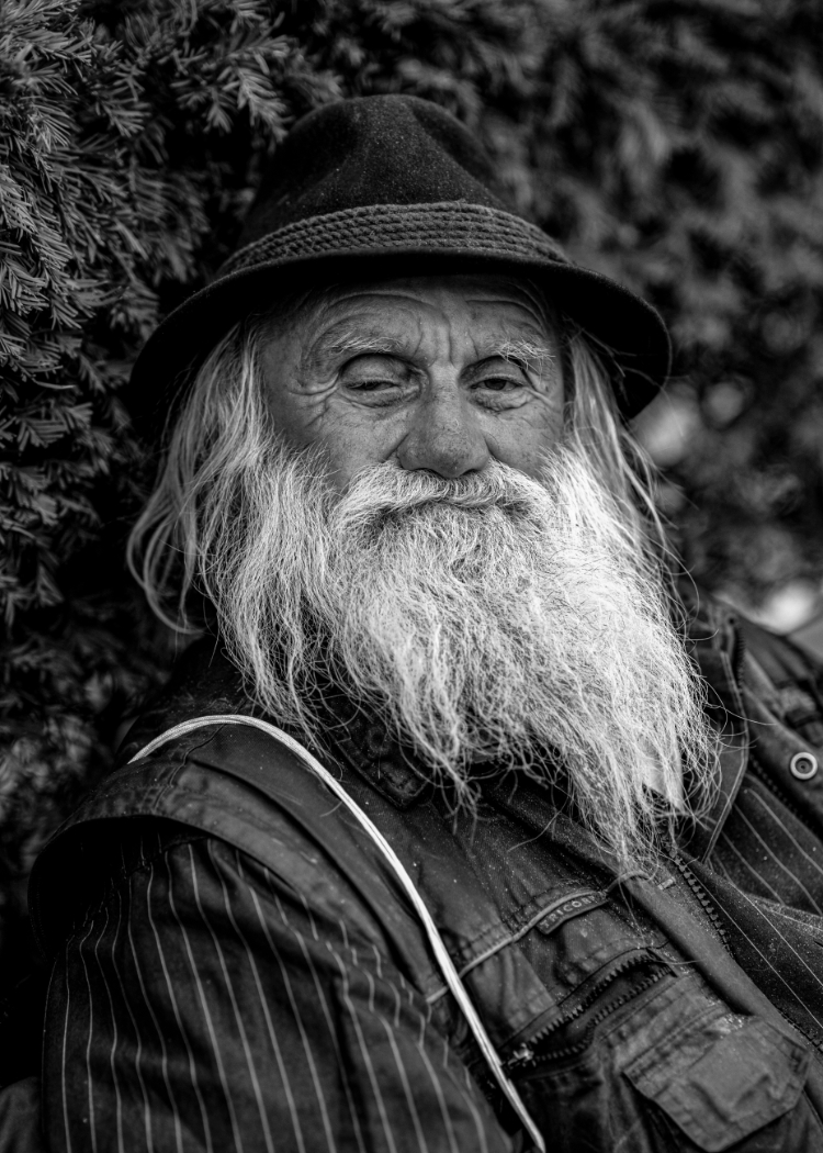 Novi Homeless by Maria Avanesova