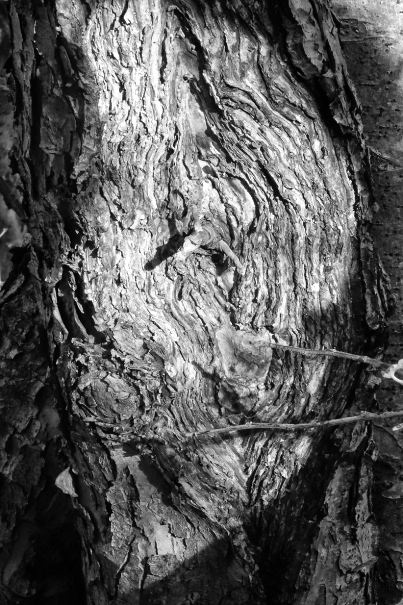 As Yet Untitled by John Gilkerson