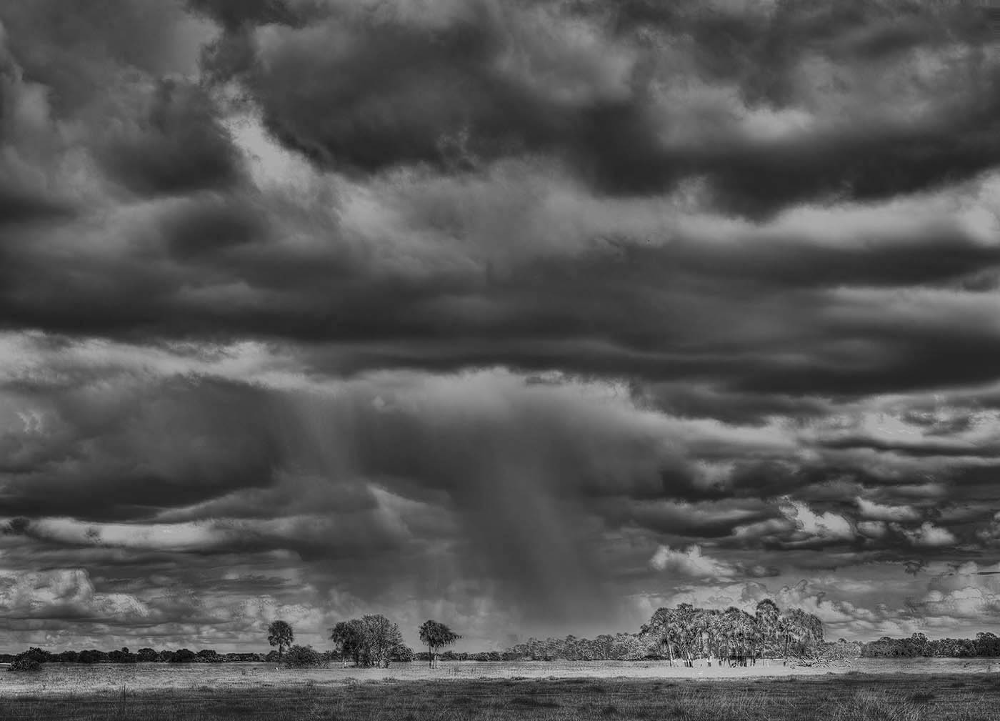 Rain burst by Ed Ries