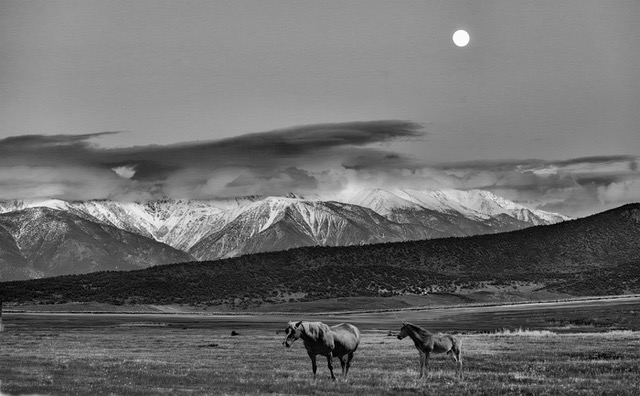 Untitled by Susan Quinn