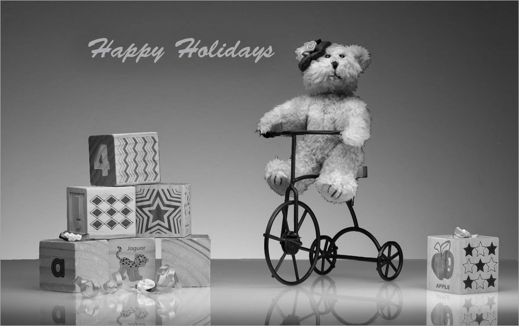 Blocks, Bear, Tricycle by Ella Schreiber