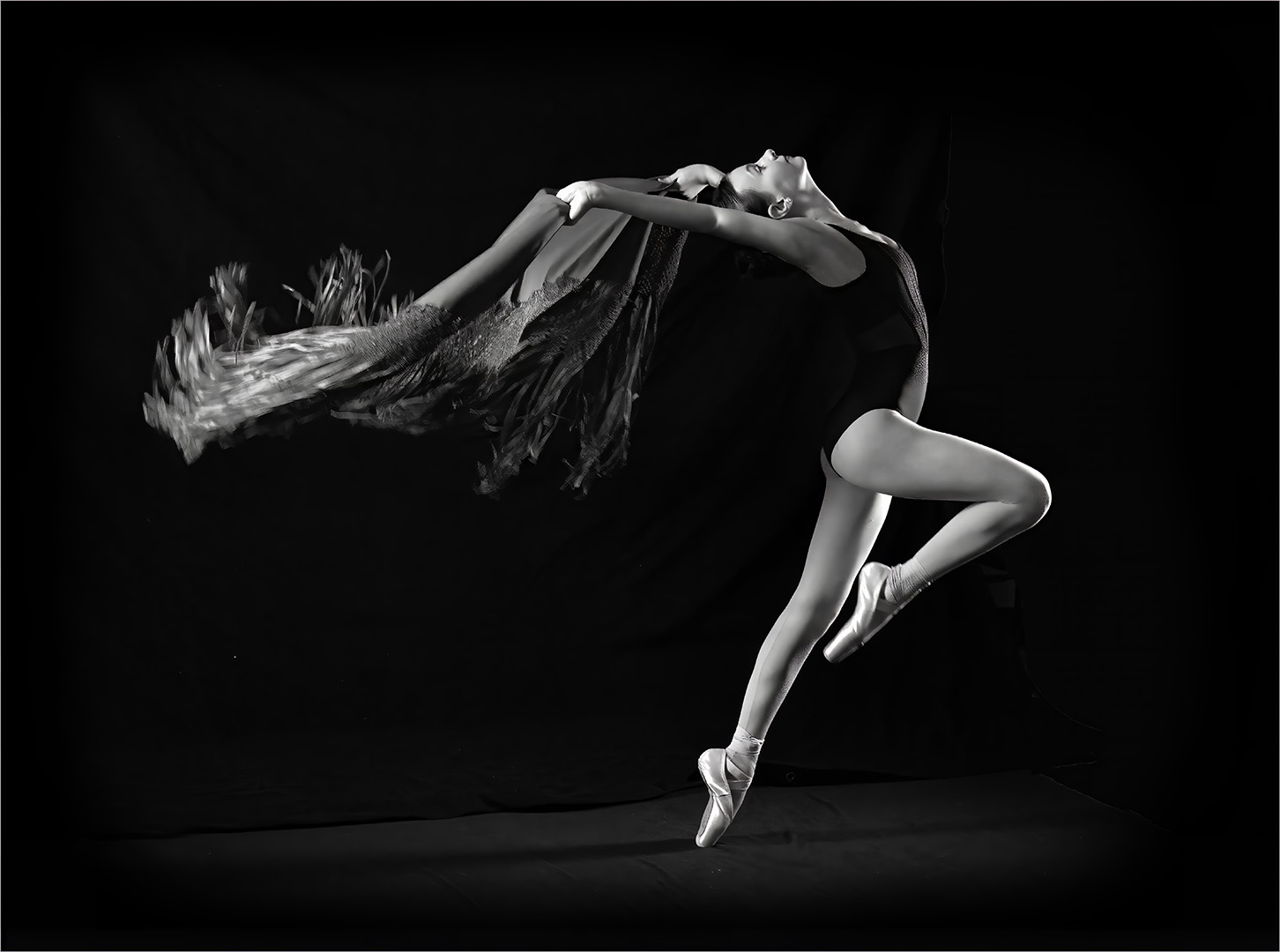 Ballerina by Ella Schreiber