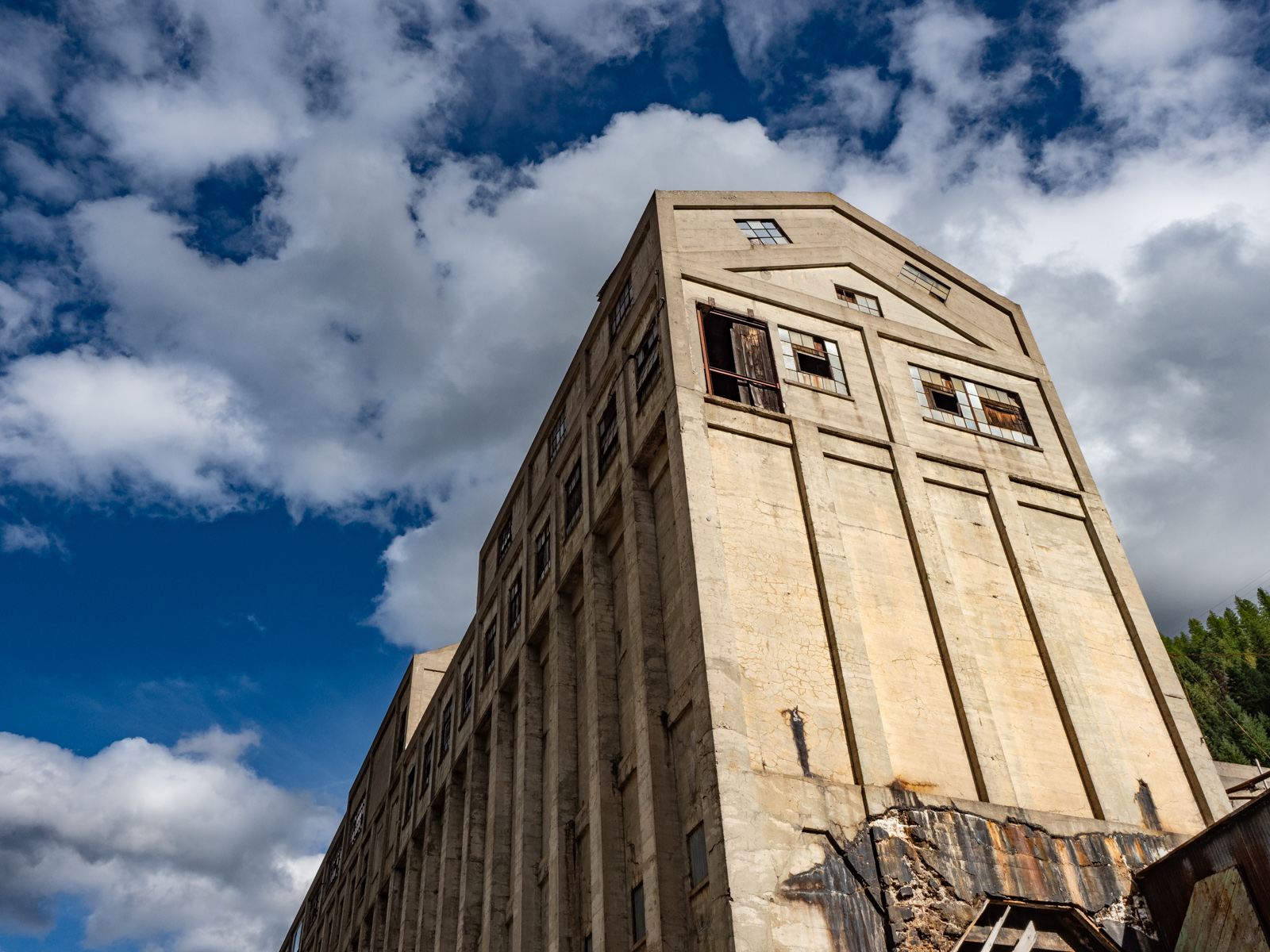 November 2025 - Diana Magor, MPSA, APSA