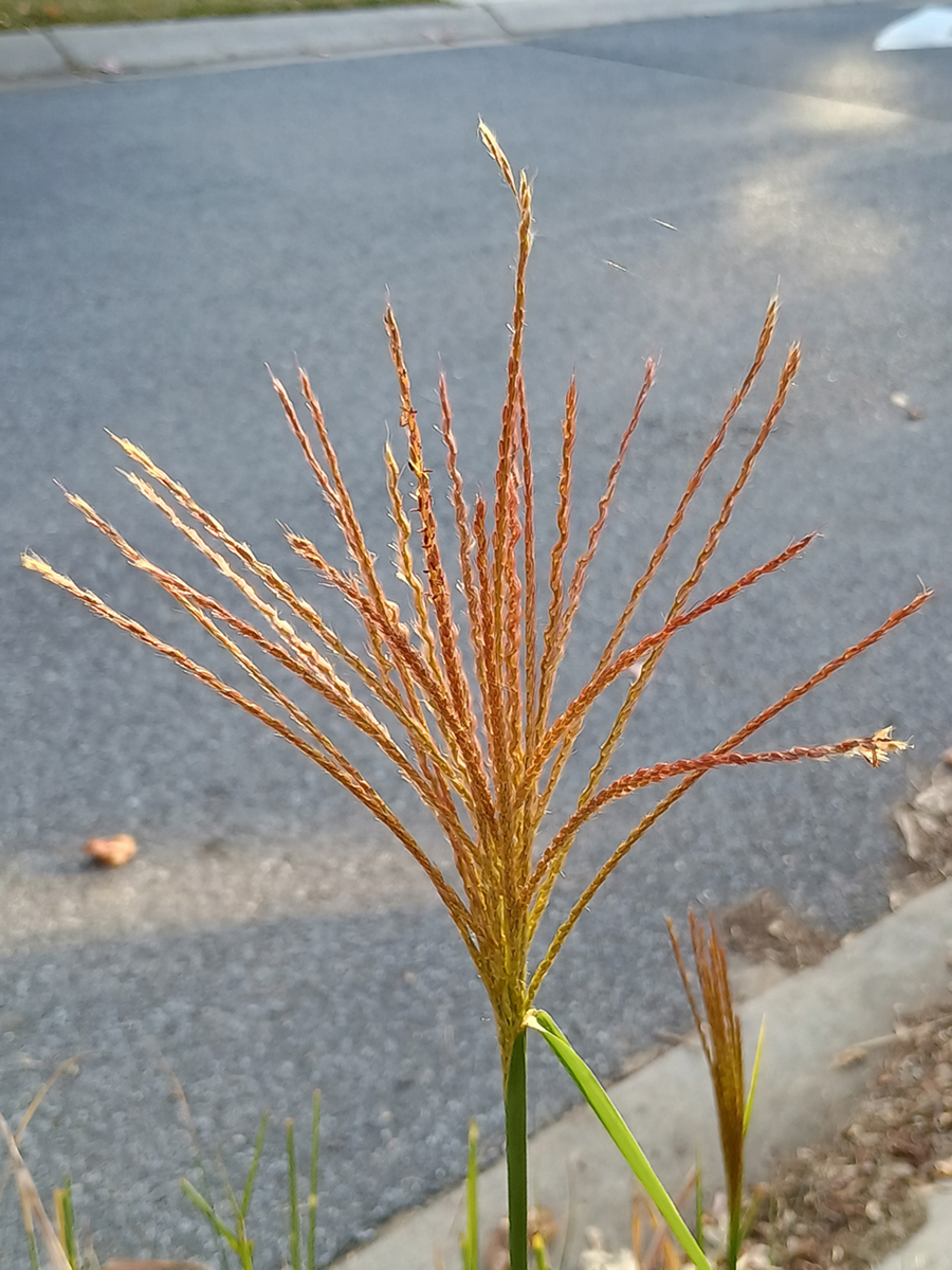 December 2025 - Stephen Levitas