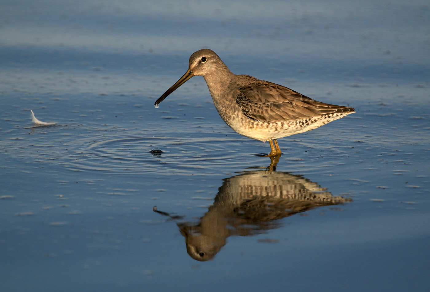 April 2026 - Jennifer Doerrie