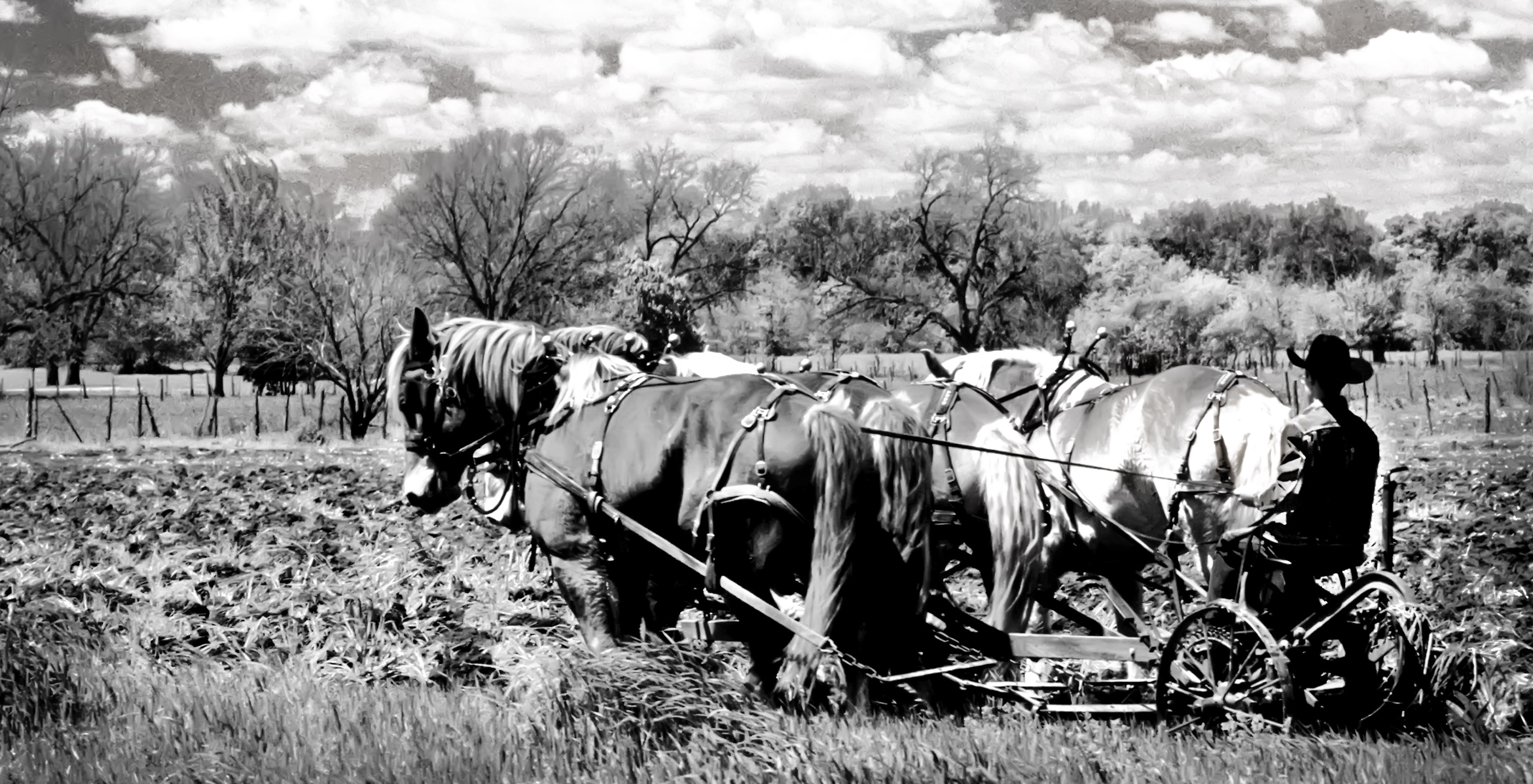 Plowing by Wes Odell