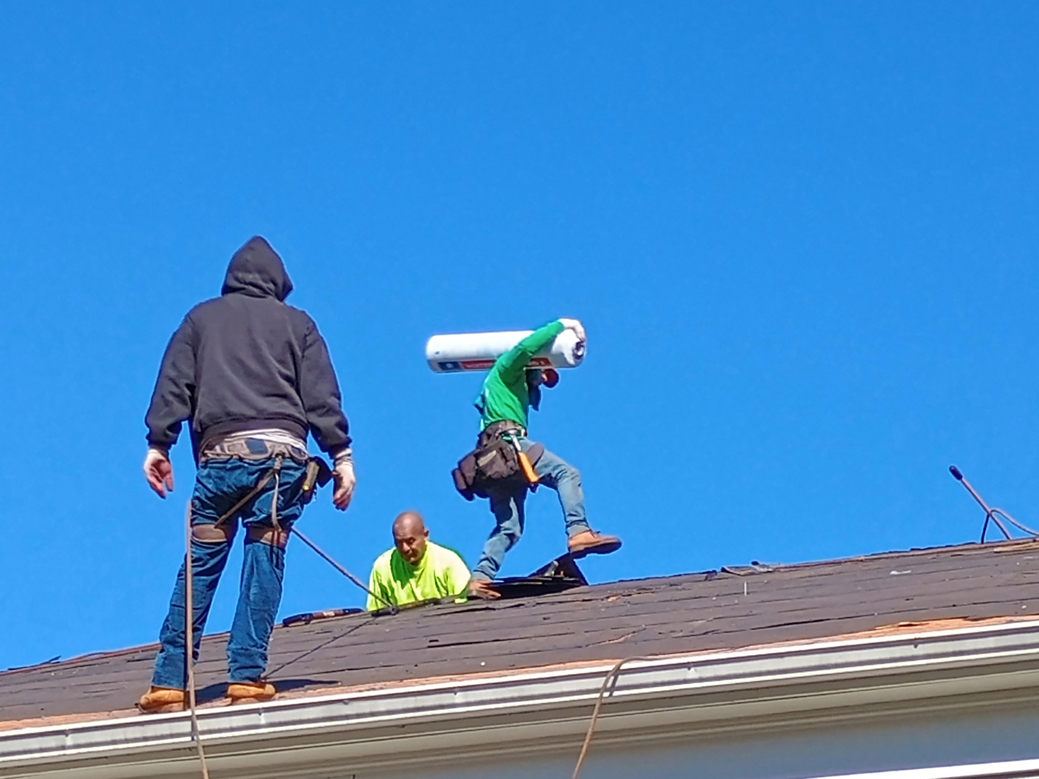 November 2025 - Stephen Levitas