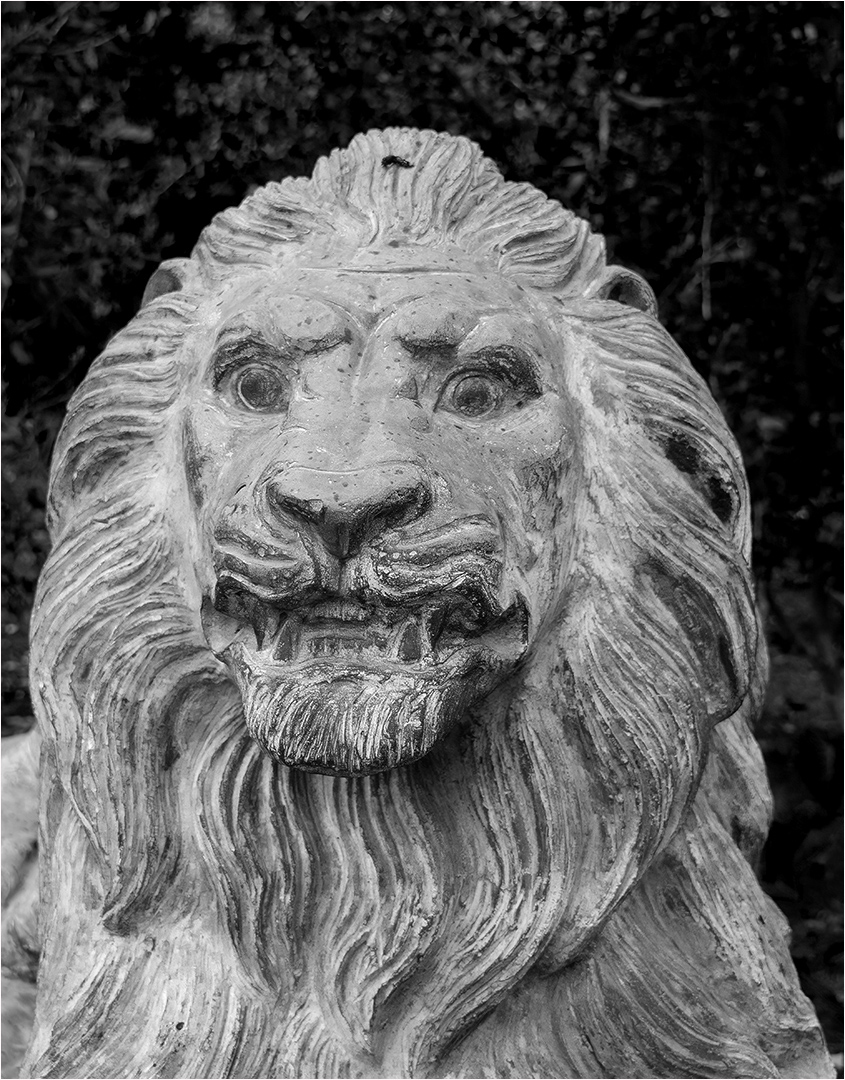 Lions head
