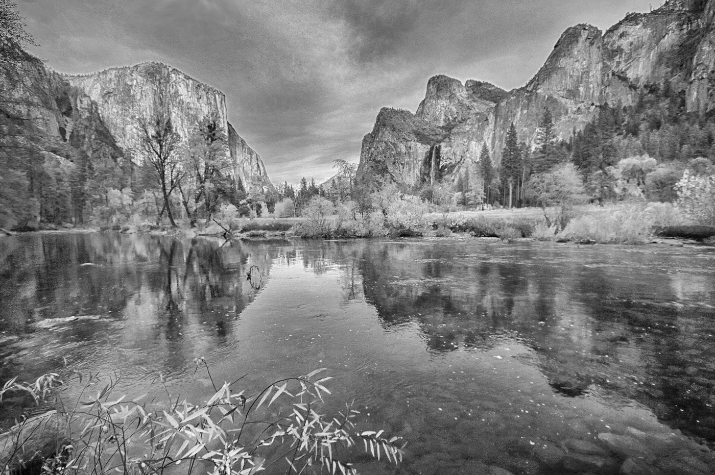 Yosemite by Jennifer Doerrie