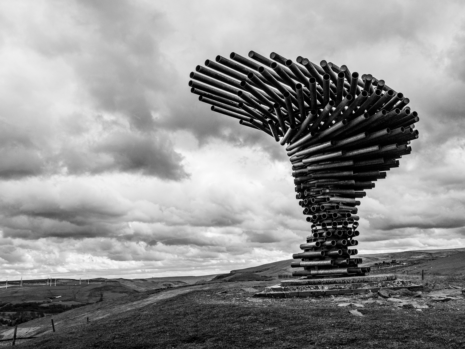 The singing ringing tree by Diana Magor
