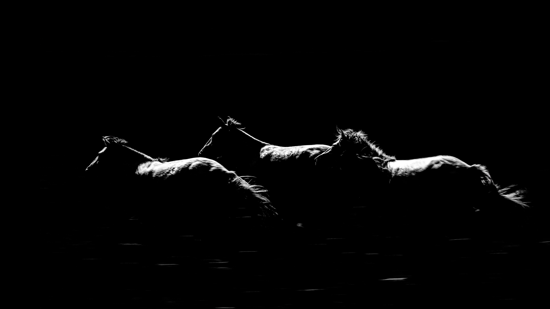 Galloping horses by Somdutt Prasad
