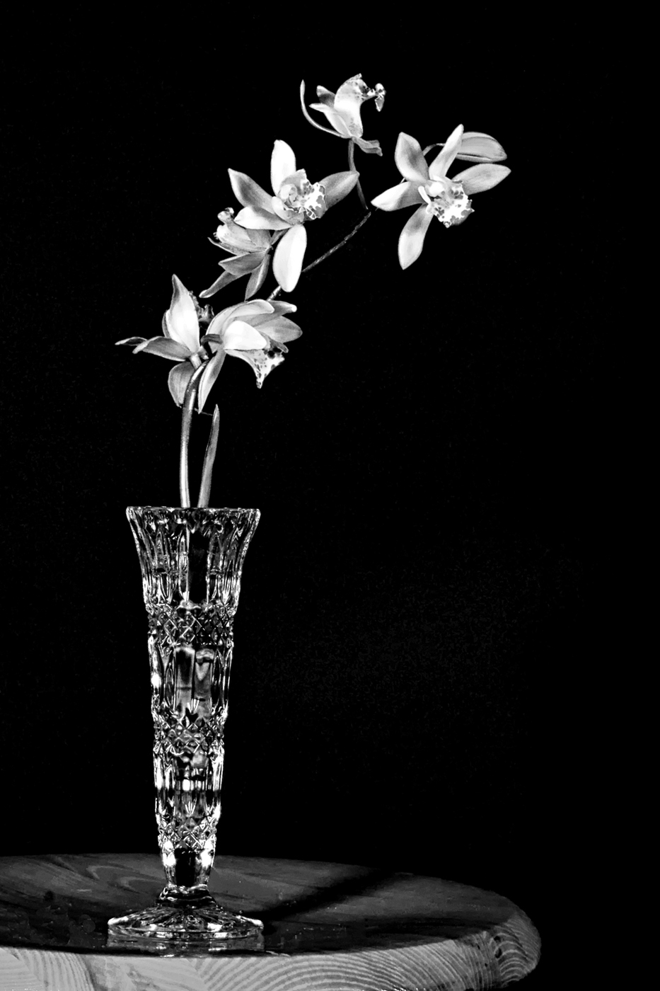 Wood, water, glass and flower by Wes Odell