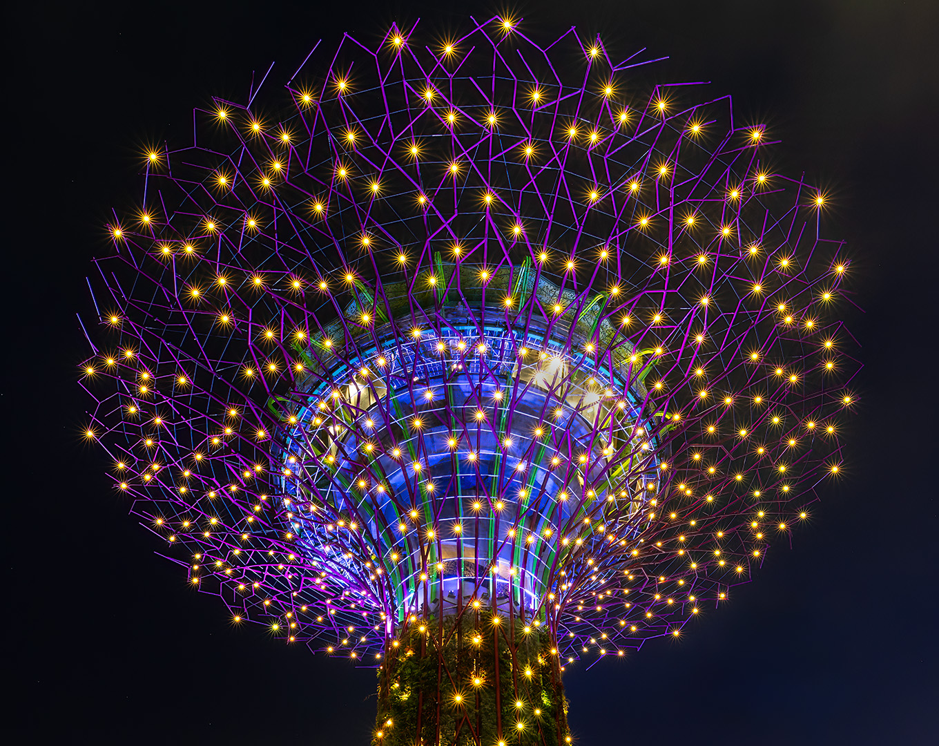 Twinkle Twinkle Little Stars by Nenette Yu