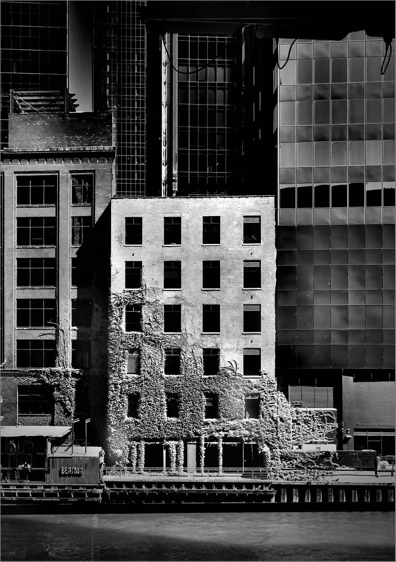 Standing Out by Carl Johnson