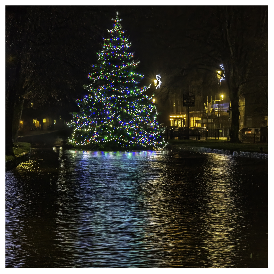 Christmas Tree, Burton On The Water by Paul Hoffman