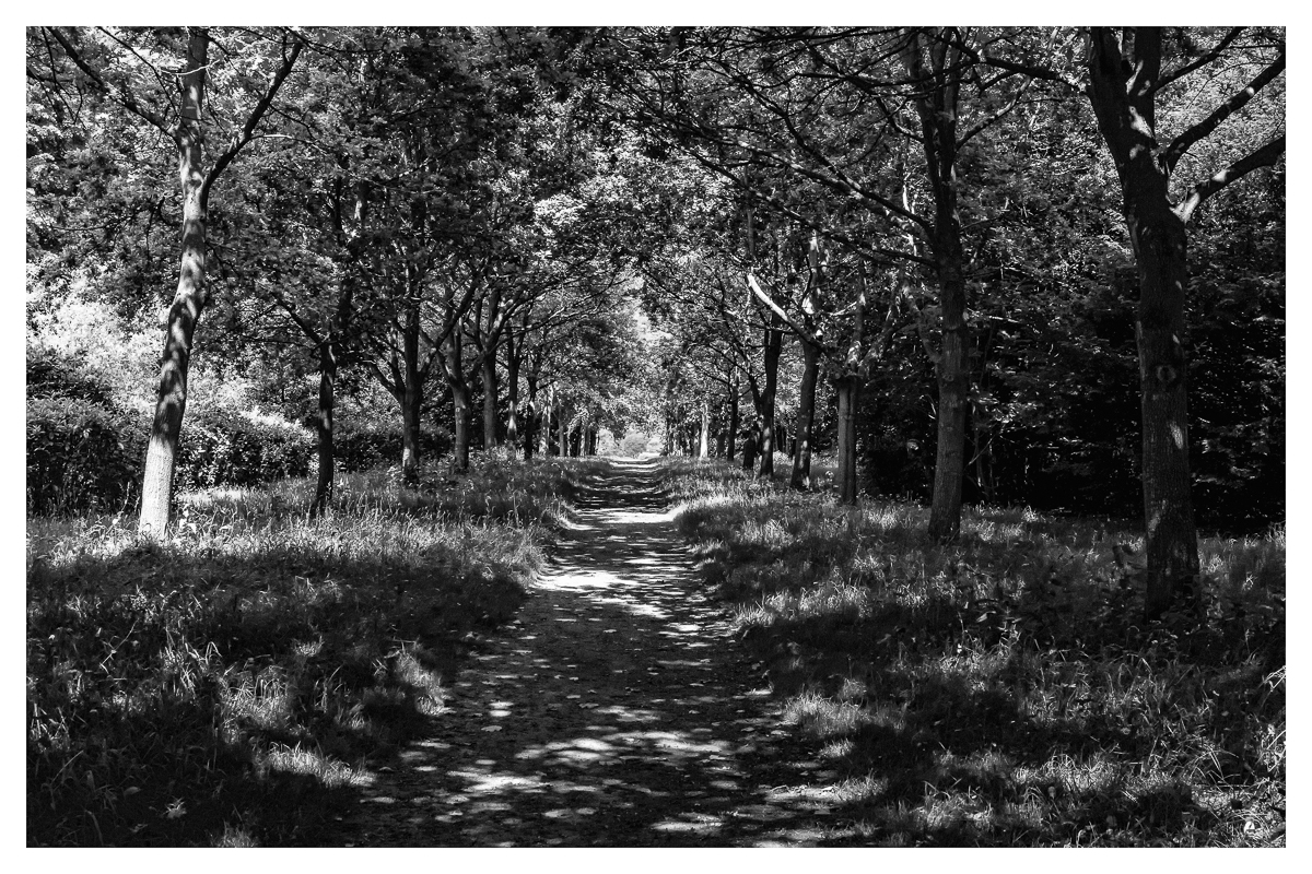 The Footpath by Paul Hoffman