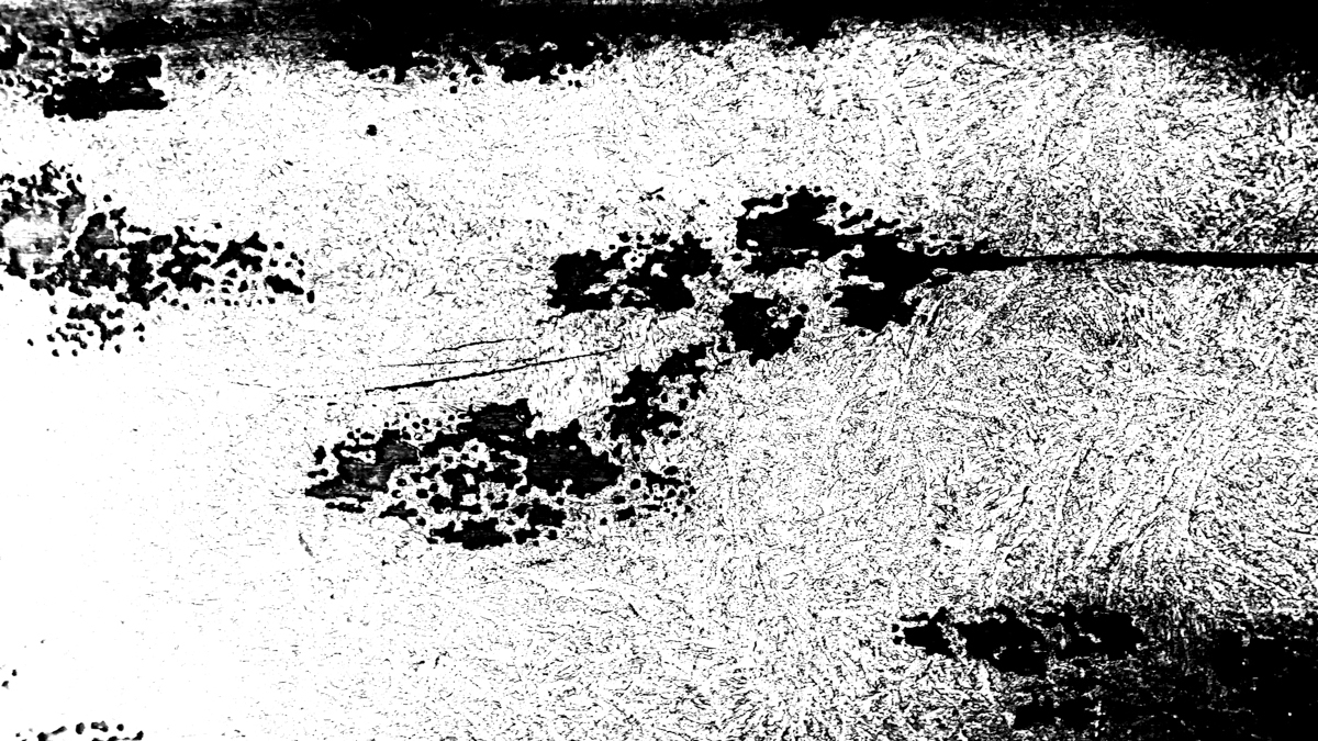 November 2025 - Bob Wills