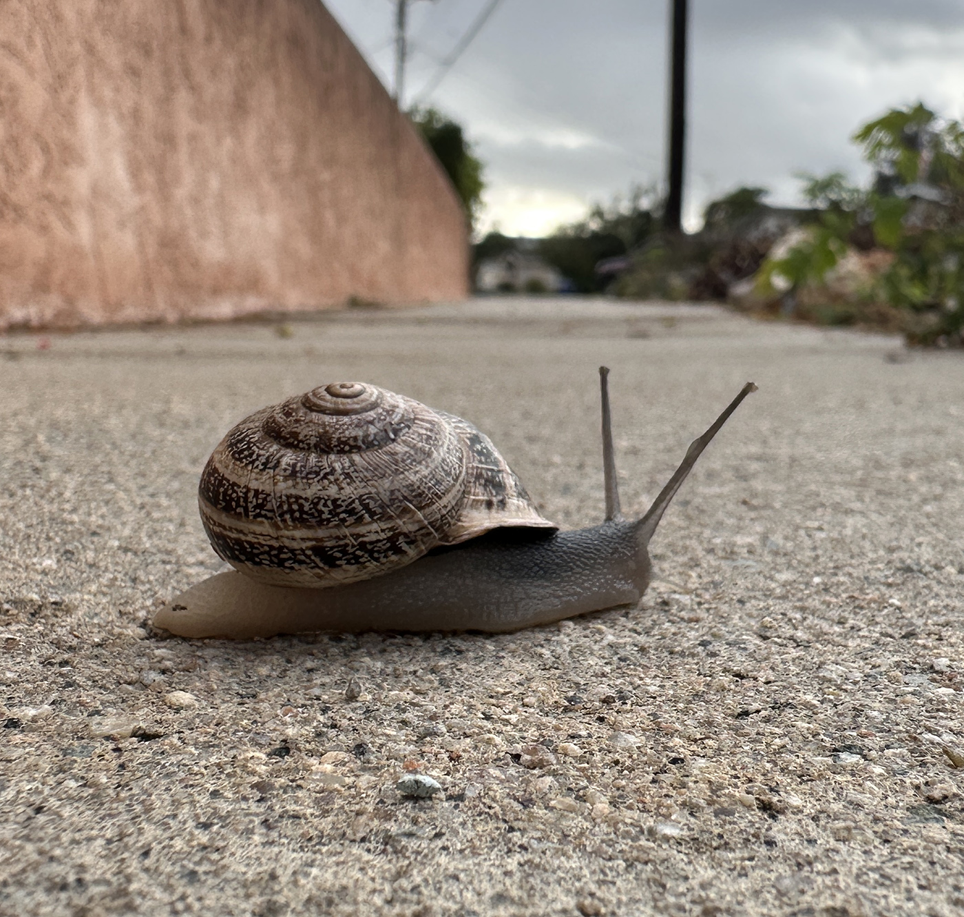 December 2025 - Jan Handman