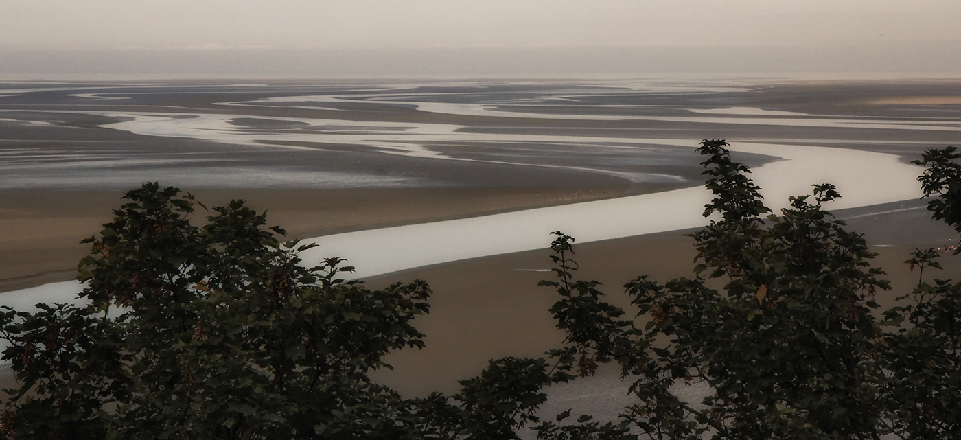 November 2025 - Jan Handman