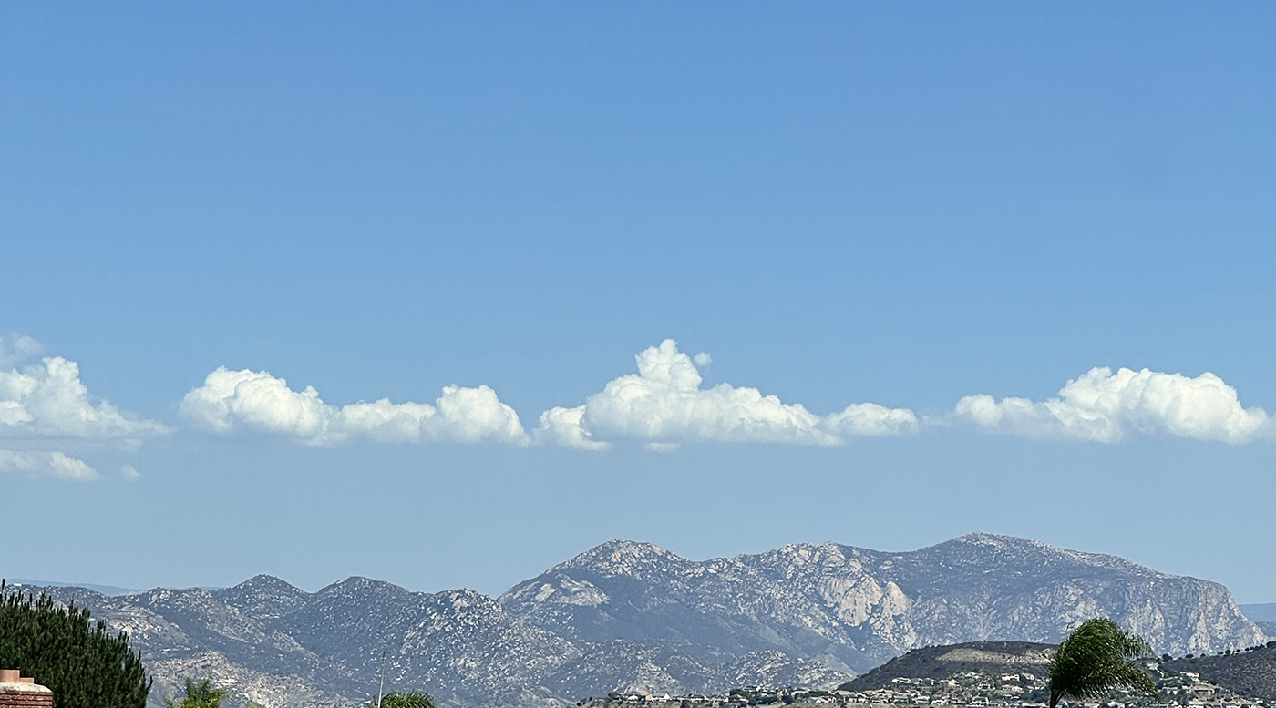 November 2025 - Jan Handman