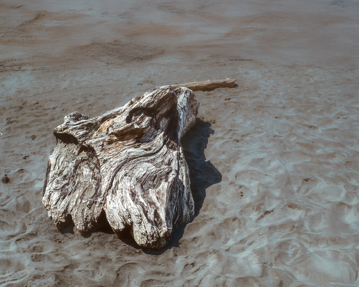 November 2025 - Bob Wills