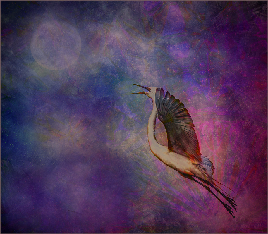 Flight in Space by Candy Childrey