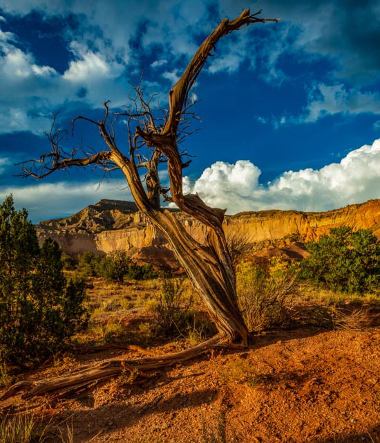 December 2025 - Bob Wills