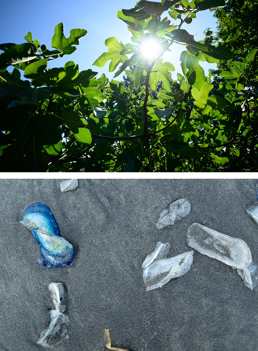 November 2025 - Bob Wills