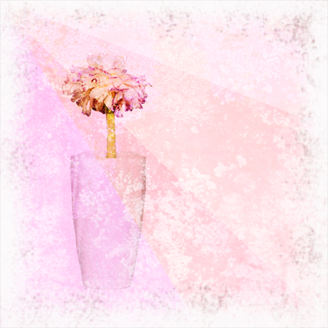 Reimagined Bloom by Sylvia Williams