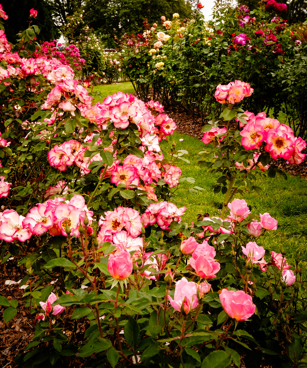 April 2026 - Bob Wills