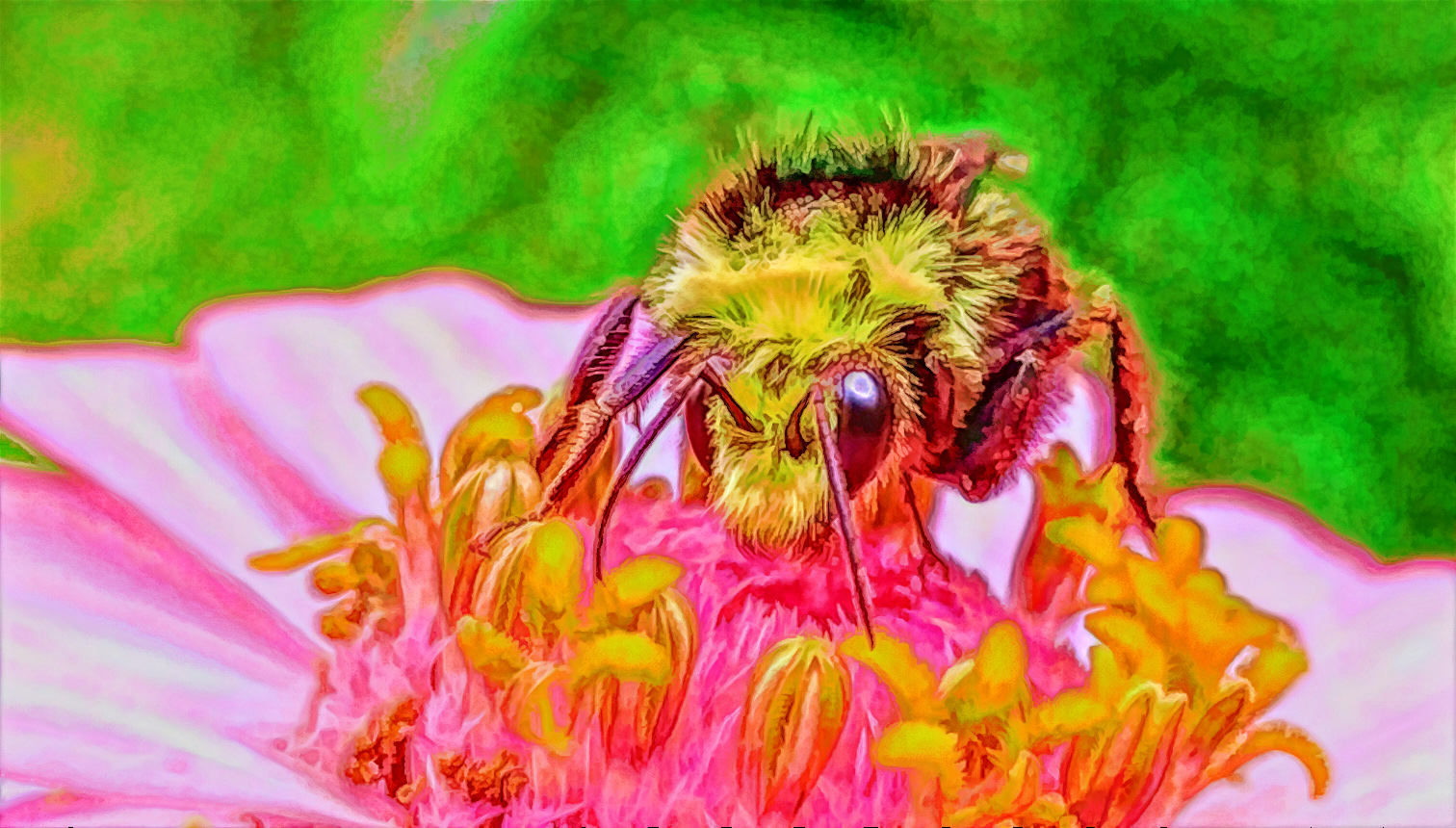 Comment Image