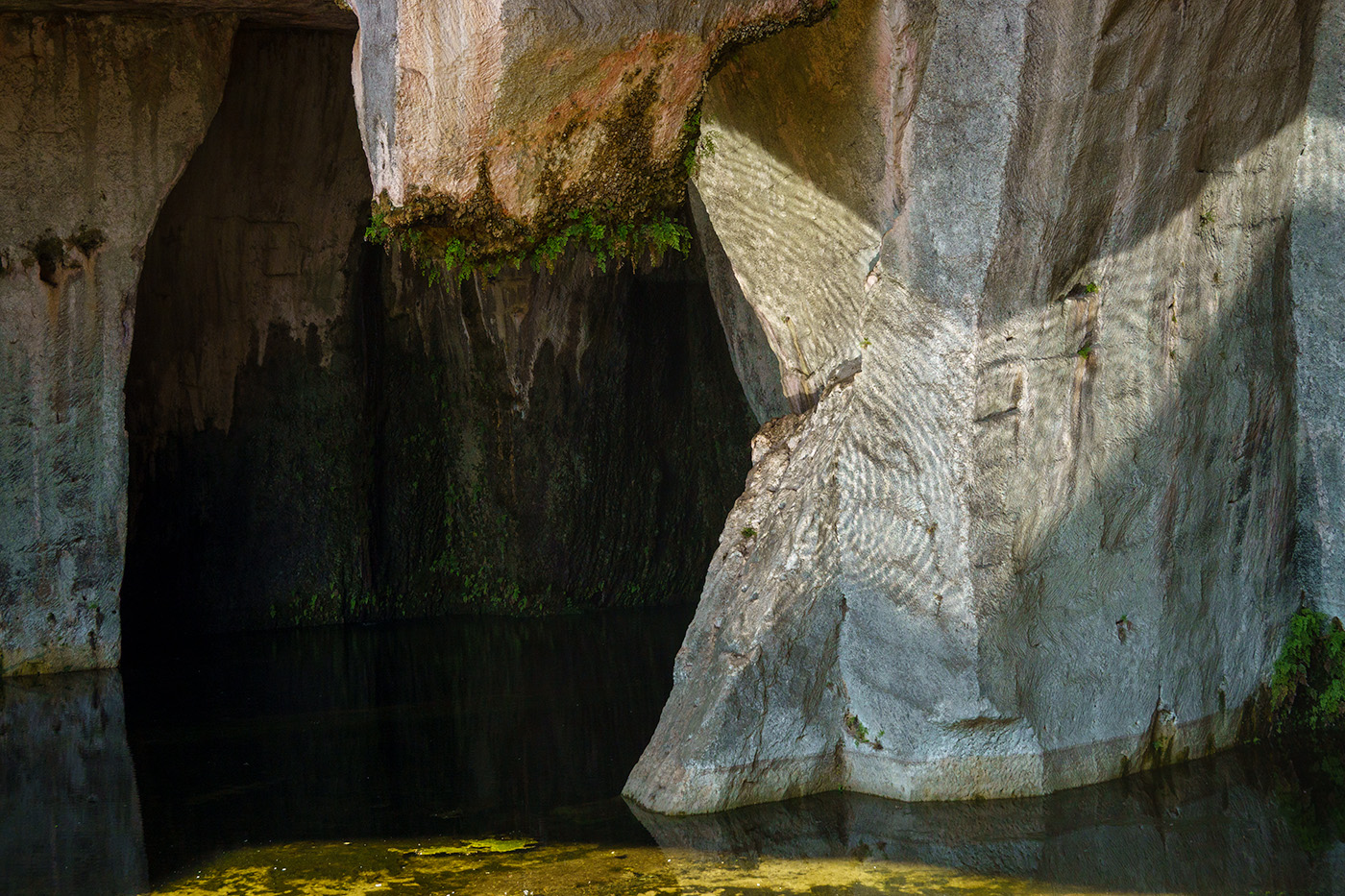 December 2025 - Peter Katz