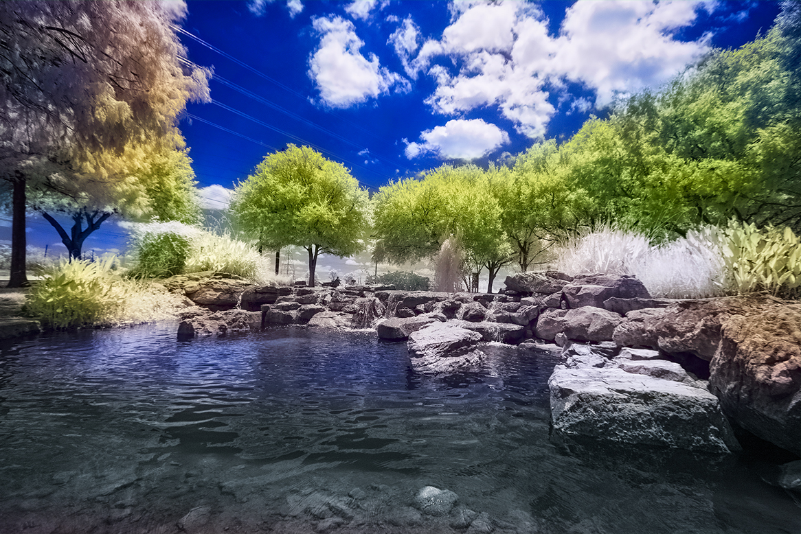 Title: Oyster Creek Park by Phu Vo