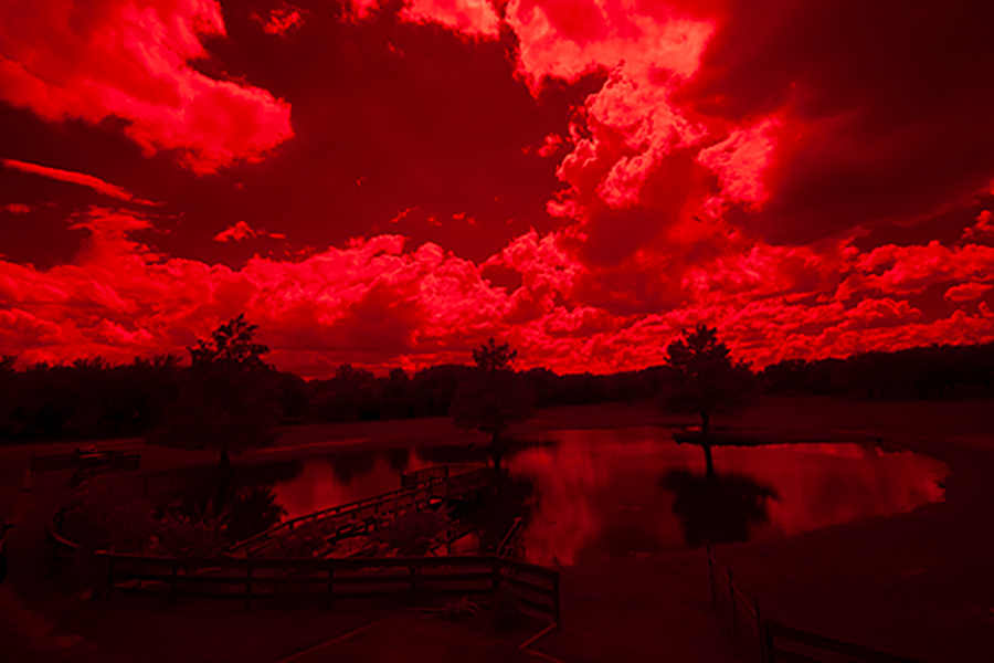 December 2025 - Phu Vo